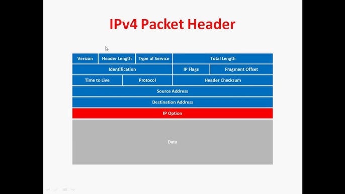 IP Packet